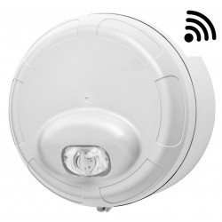 Diffuseur lumineux type 4...